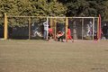IMG_2231