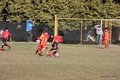 IMG_2243