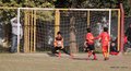 IMG_2227