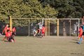 IMG_2247