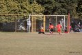 IMG_2228