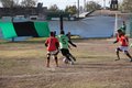 IMG_2293