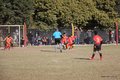 IMG_2206