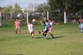 IMG_0221