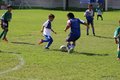 IMG_0531