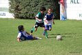 IMG_0549