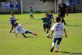 IMG_0526