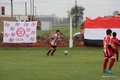 IMG_0782-001
