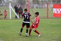 IMG_0803-001