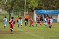 IMG_0890-001