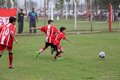 IMG_0806-001