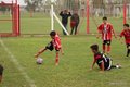 IMG_0823-001