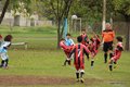 IMG_0887-001