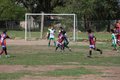 IMG_7794