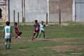 IMG_7779
