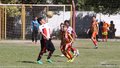 IMG_8850-001