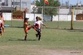 IMG_8856