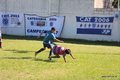 IMG_0607