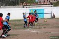 IMG_0546