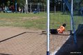 IMG_0554