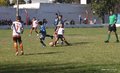 IMG_6596