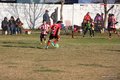 IMG_6146