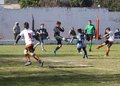 IMG_6621