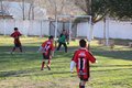 IMG_6130