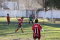 IMG_6129