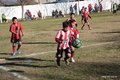 IMG_6126