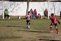 IMG_6120