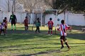 IMG_6134