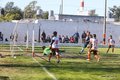 IMG_6567