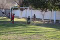 IMG_6107