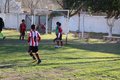 IMG_6135