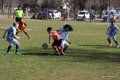 IMG_6305