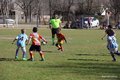 IMG_6308