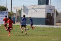 IMG_6650