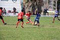 IMG_6612