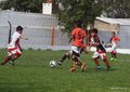 IMG_3524