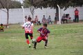IMG_7338