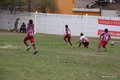 IMG_7353