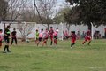 IMG_7334