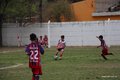 IMG_7347
