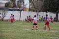 IMG_7355