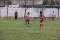 IMG_7361