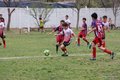 IMG_7383