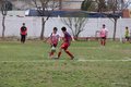 IMG_7362