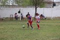IMG_7336