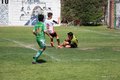 IMG_7661